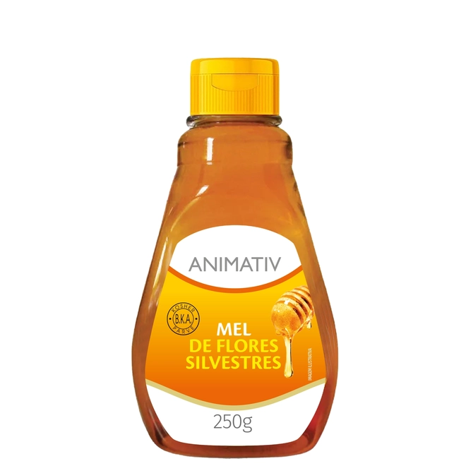 Mel de Abelha ApisVida Puro Bisnaga 250g