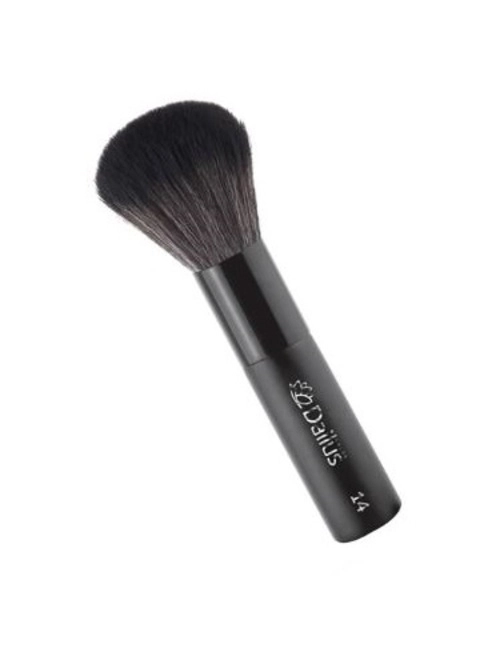 PINCEL DAILUS P/ PO N.14