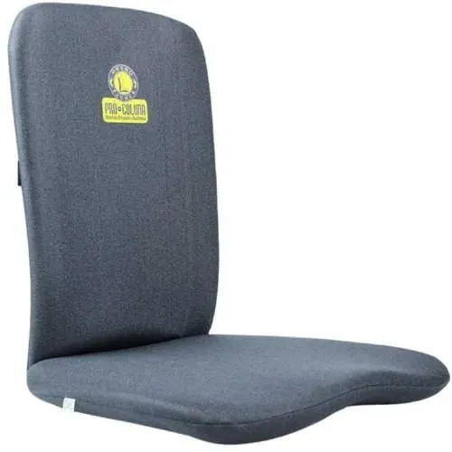 Almofada Ortopédica Pró-coluna Ortho Pauher Cinza 1 Unidade