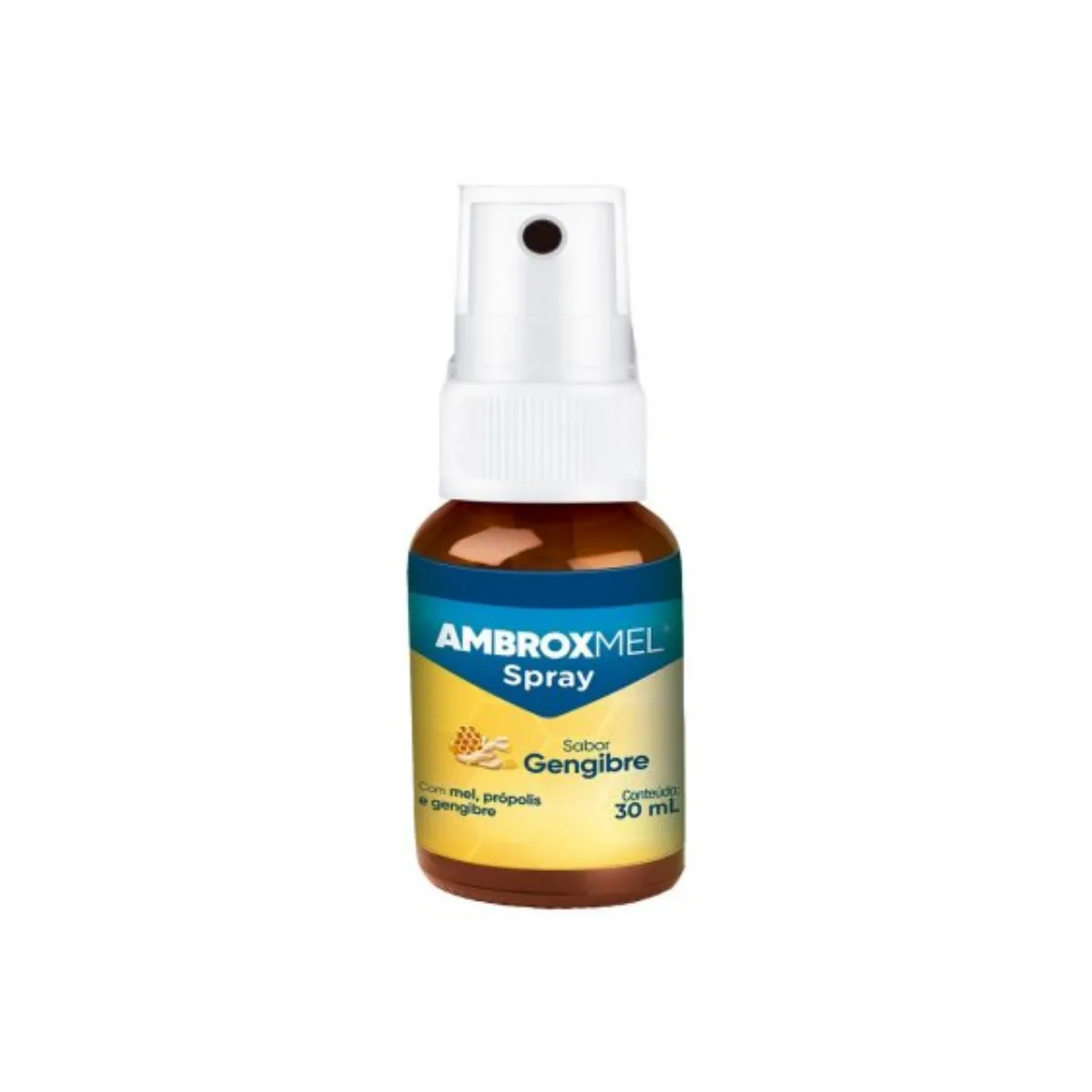 ambroxmel spray 30ml sbr gengibre
